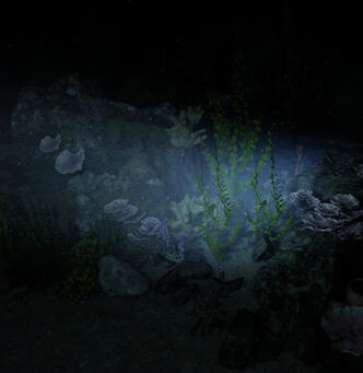 Night 01